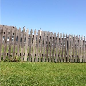 Meet your Posher, May